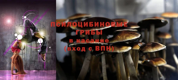меф Алексин