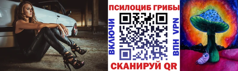 Купить закладки  Курлово  Галлюциногенные грибы Psilocybine cubensis 